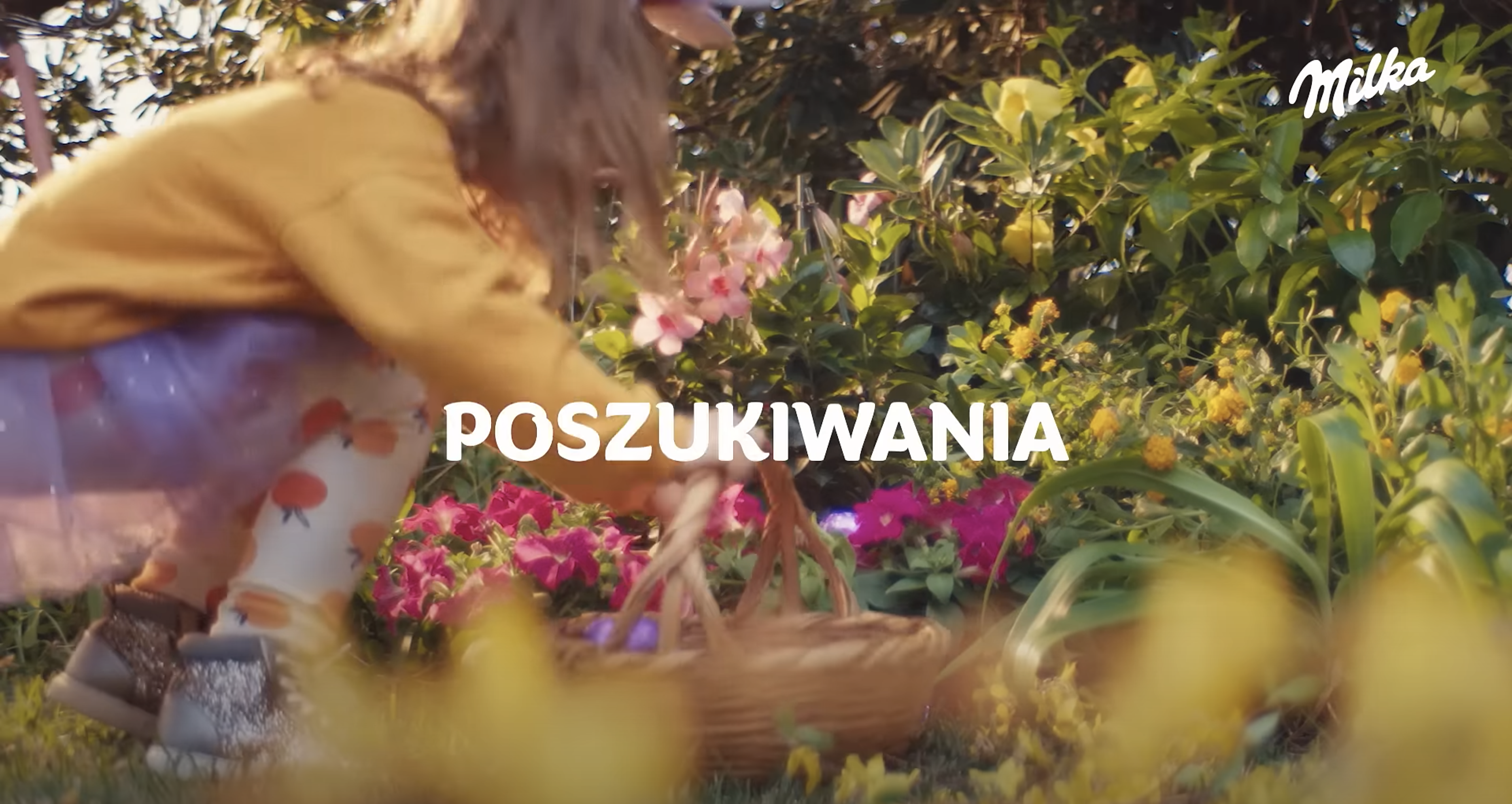 Poszukiwania